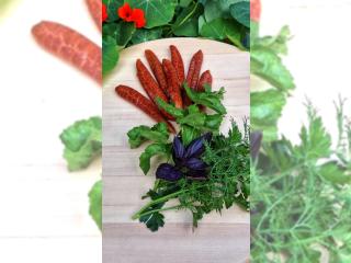 Другое - Продукты питания - Вяленая икра сазана в стиках 100 грамм 