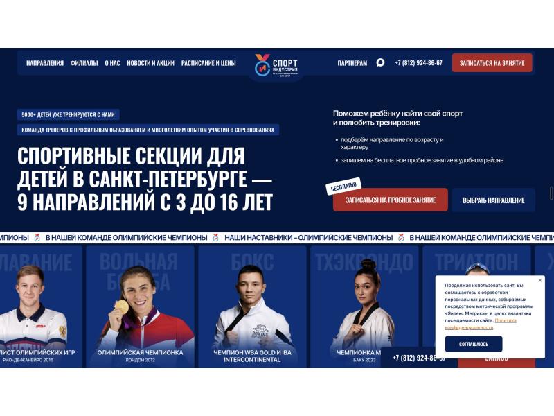 Usluge - Kompjuterske i IT usluge - Veb-sajt i promocija na Google-u i ChatGPT-u — Beograd